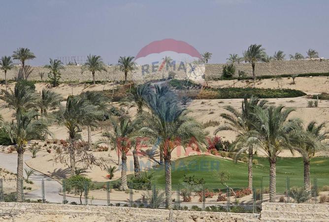 8069607 - صورة العقار 3