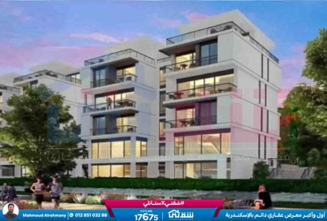 8395281 - Property Image 2