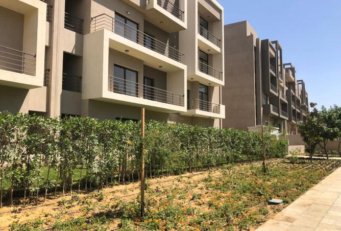 8238423 - Property Image 3