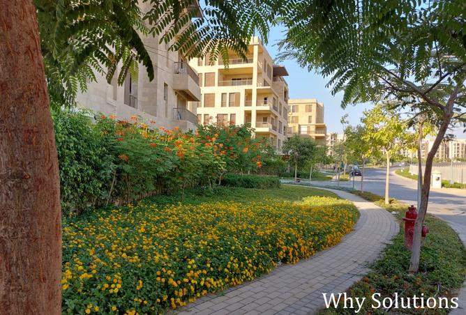 8282336 - Property Image 2