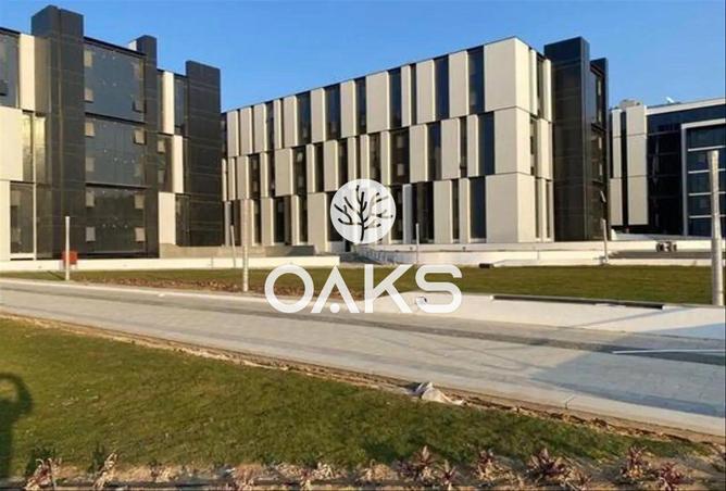 8130248 - Property Image 3