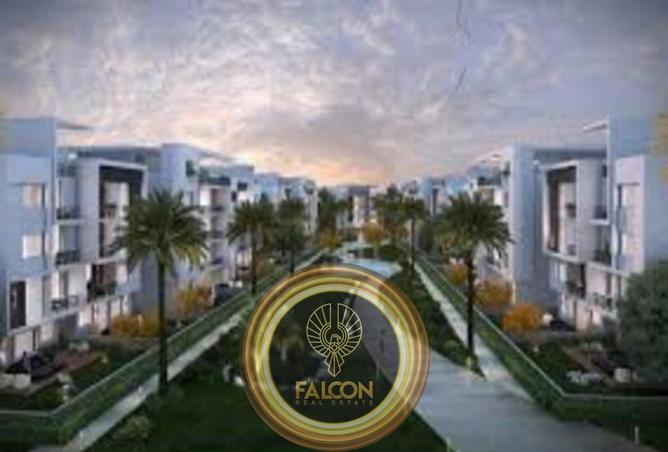 8231382 - صورة العقار 3