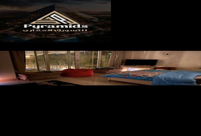 7972825 - Property Image 2