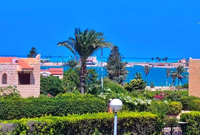 8454841 - الصورة الرئيسية للعقار