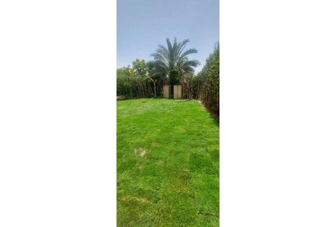 8101255 - صورة العقار 2