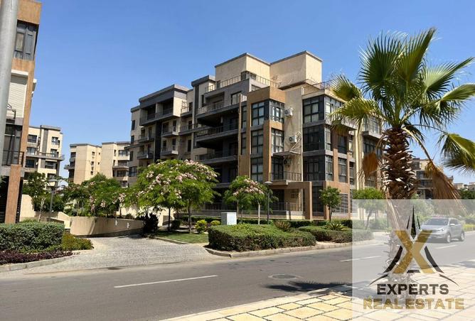 8066523 - Property Image 3
