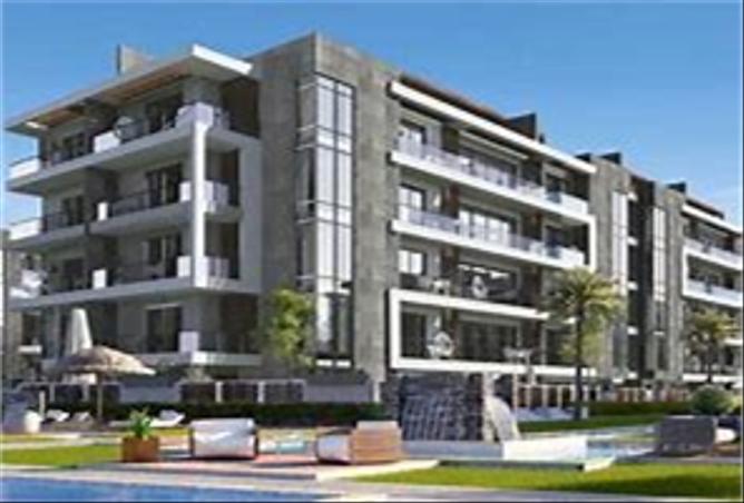 7979747 - Property Image 3