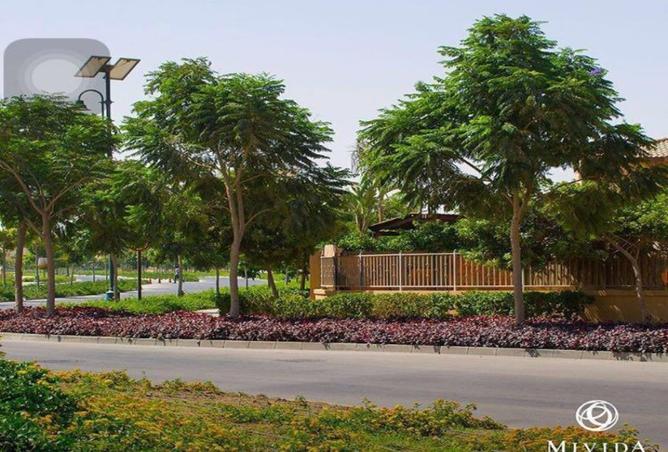 8335152 - صورة العقار 3