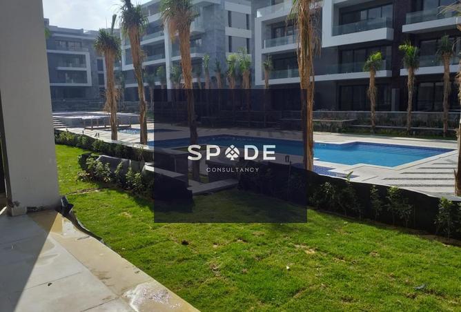 8237263 - Property Image 3