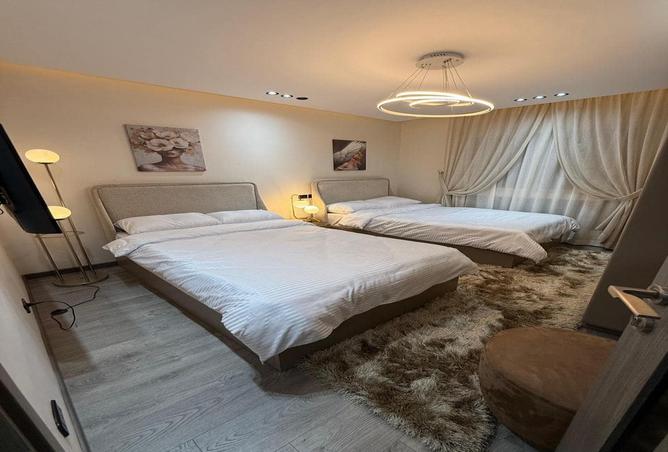 7995271 - Property Image 3