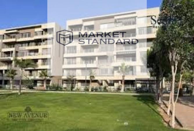 8246538 - Property Image 3