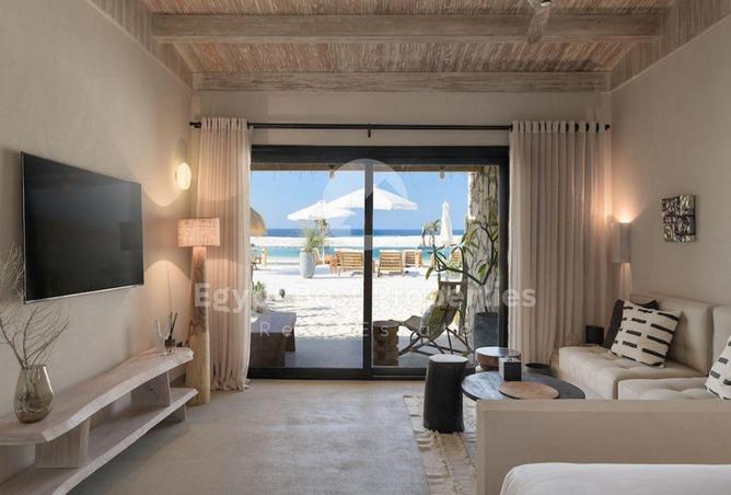 7982791 - Property Image 3