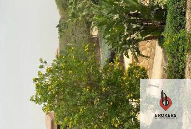 8505349 - Property Image 2