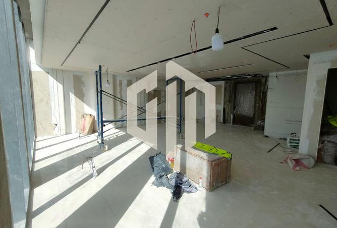 8137553 - Property Image 3