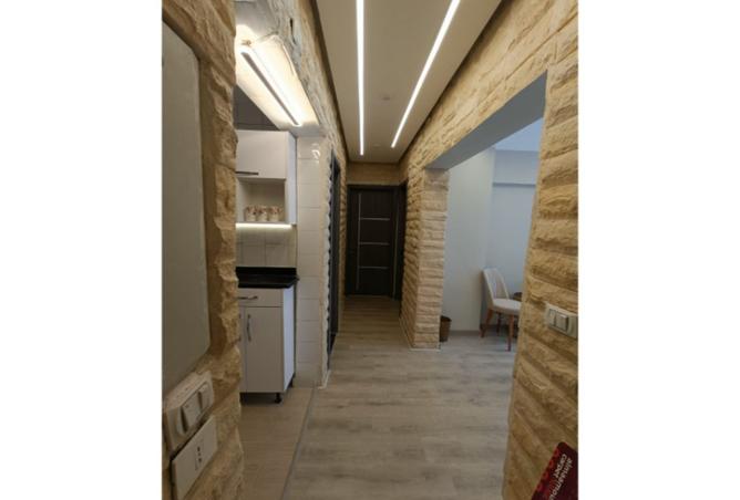 8104519 - Property Image 3