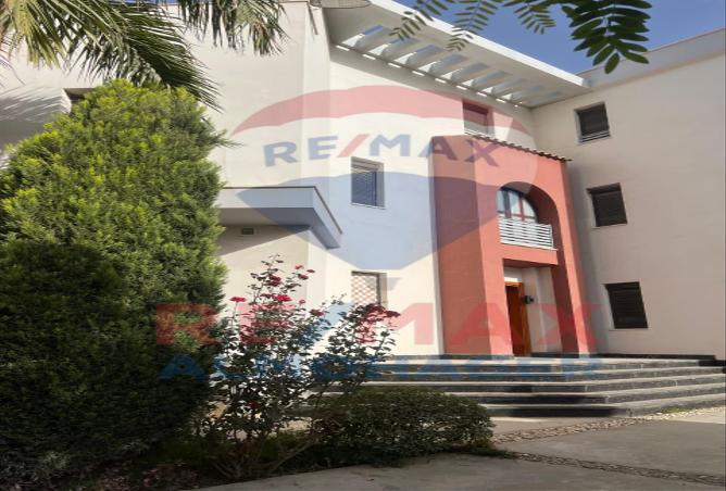 8161437 - صورة العقار 2