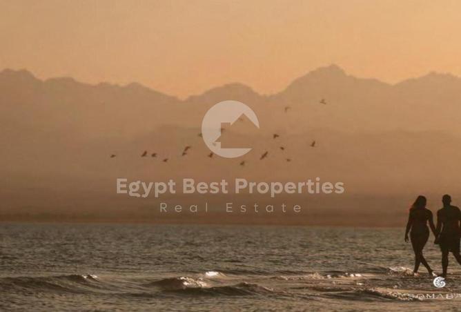 8179888 - Property Image 2