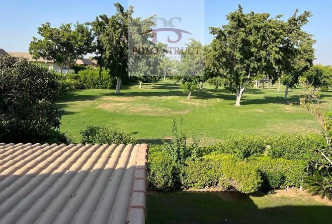7966071 - صورة العقار 2