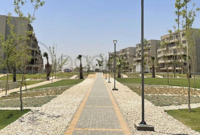 8409216 - صورة العقار 2