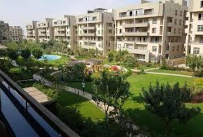 7931623 - صورة العقار 2