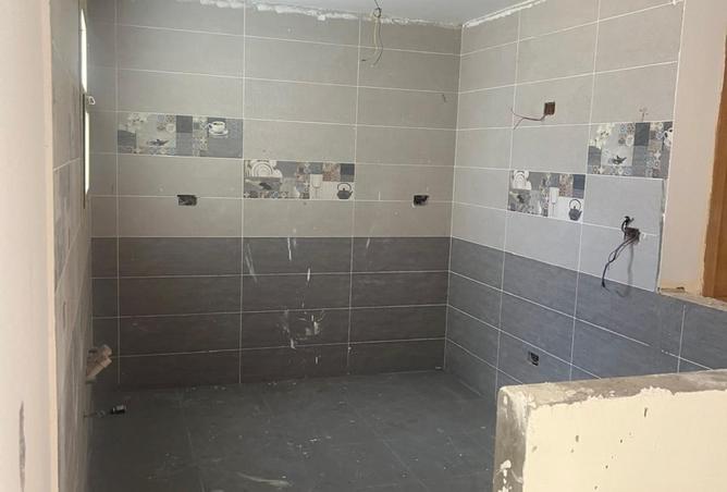 8105393 - Property Image 3