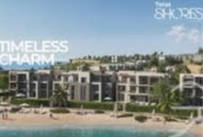 8229962 - Property Image 3