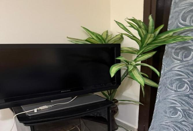 8395509 - Property Image 3