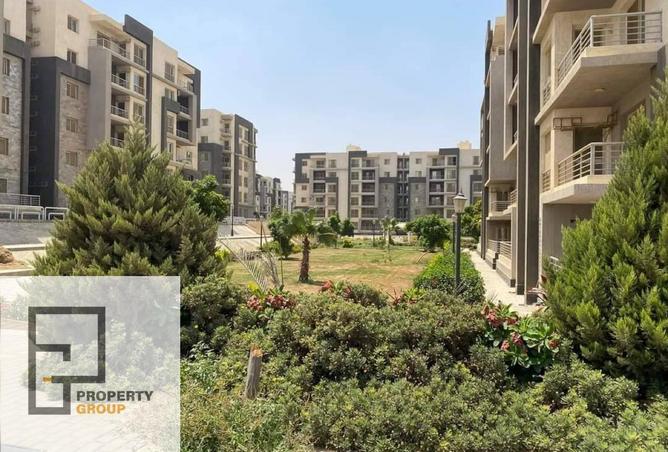 7905707 - Property Image 3