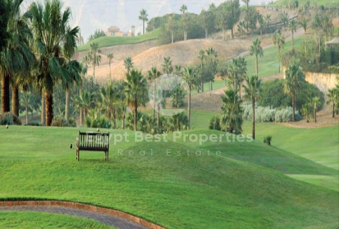 8133828 - Property Image 3