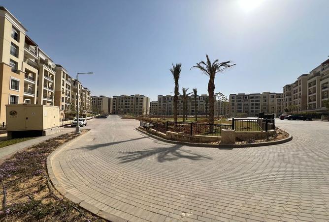 7991399 - Property Image 3