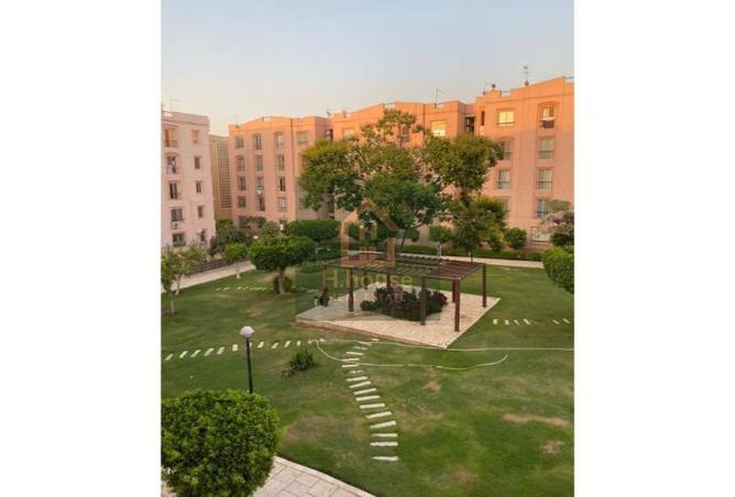 8099463 - Property Image 3