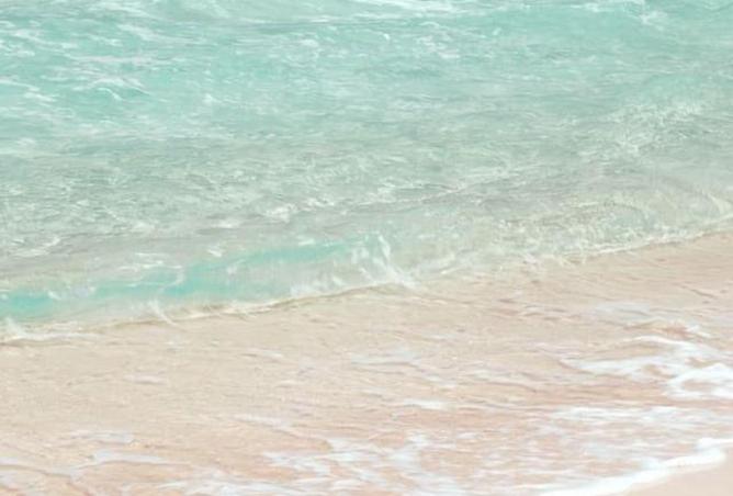 8182468 - Property Image 2