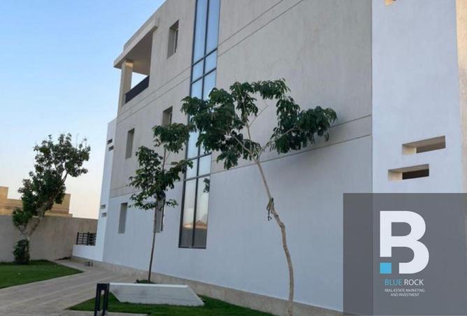 8185405 - Property Image 3