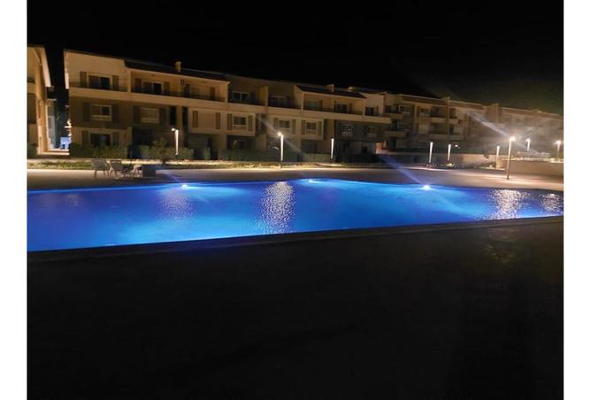 8151477 - Property Image 3
