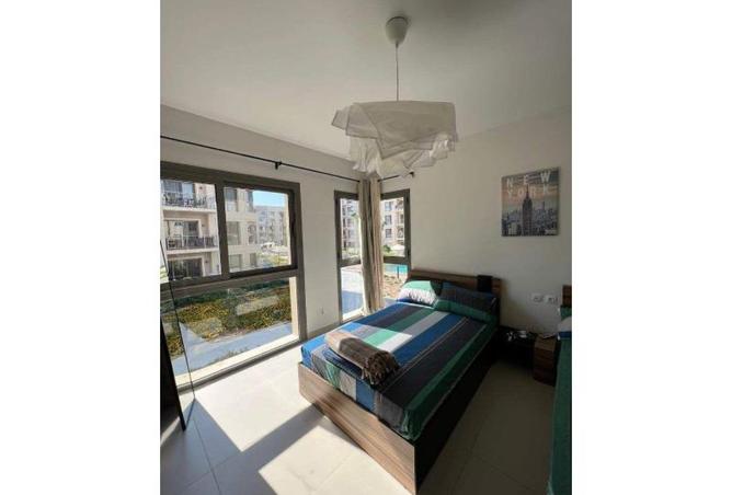 8440257 - Property Image 3