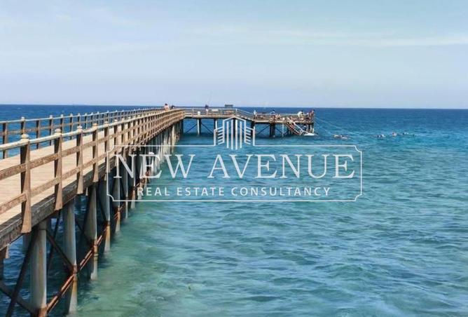 8340775 - Property Image 3