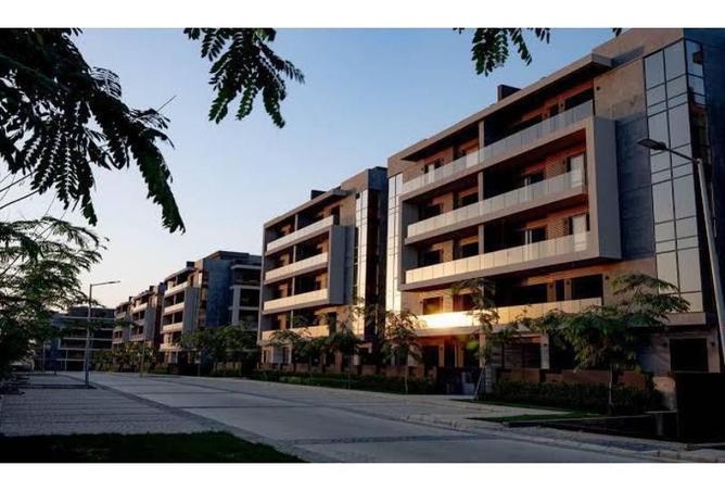 7894456 - Property Image 2