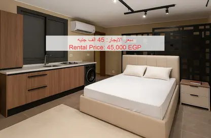 Apartment - Studio - 1 Bathroom for rent in Villette - 5th Settlement Compounds - The 5th Settlement - New Cairo City - Cairo