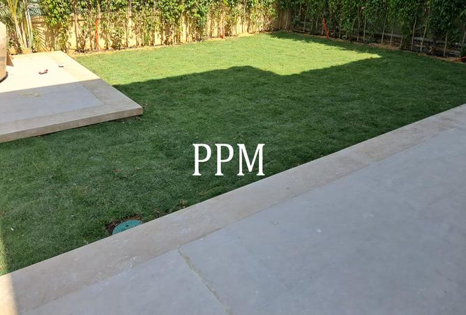 7980734 - Property Main Image