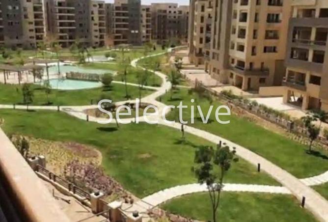 7917004 - صورة العقار 2