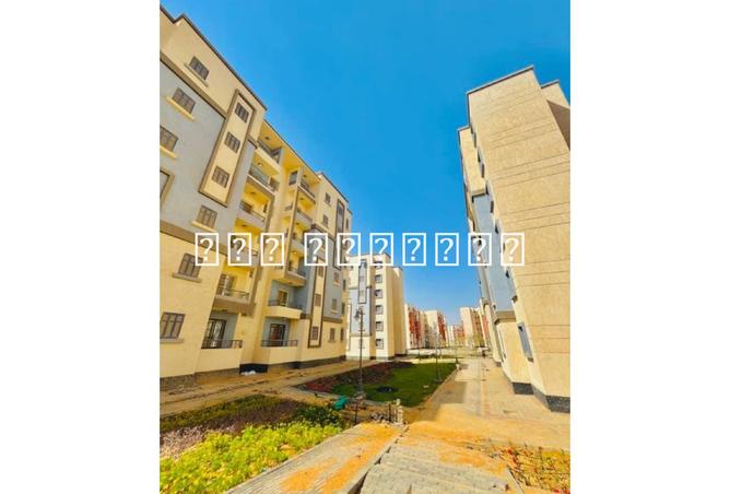 8150824 - صورة العقار 2