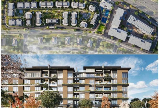 8437526 - Property Image 3