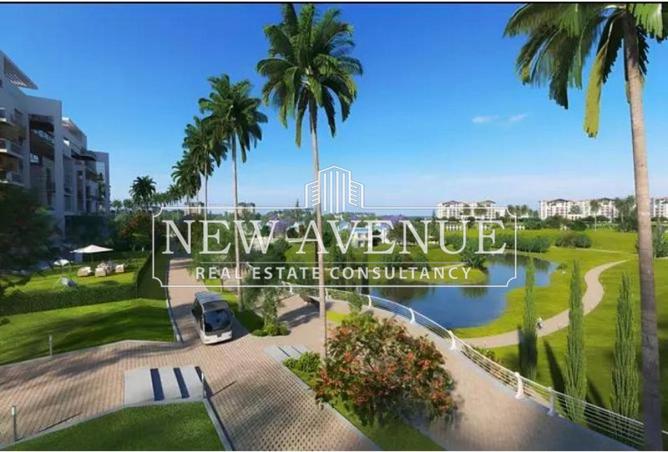 8440756 - Property Image 3