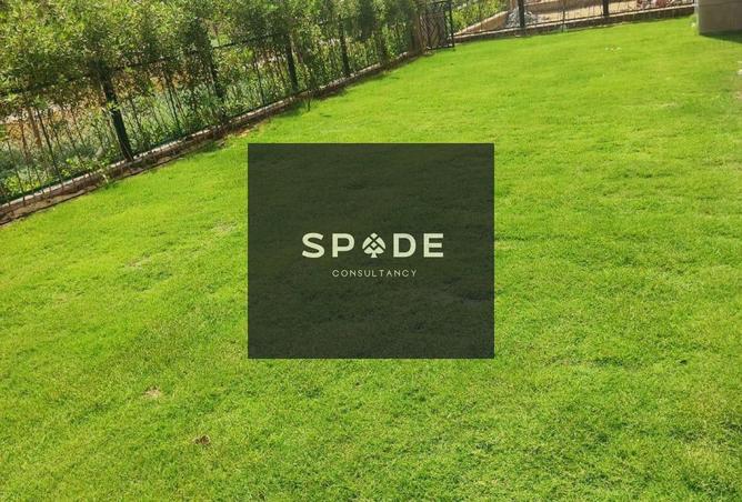 8029715 - Property Image 2