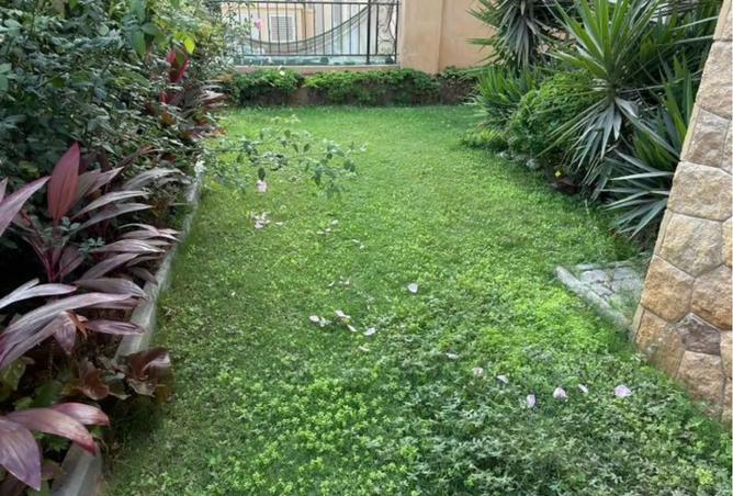 8315610 - صورة العقار 3