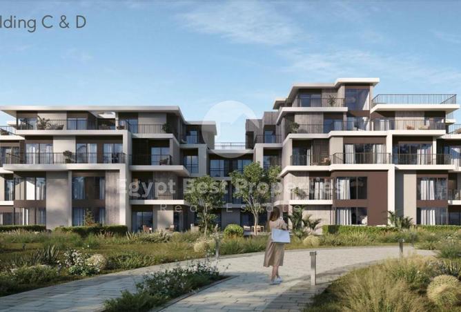 8432221 - Property Image 3