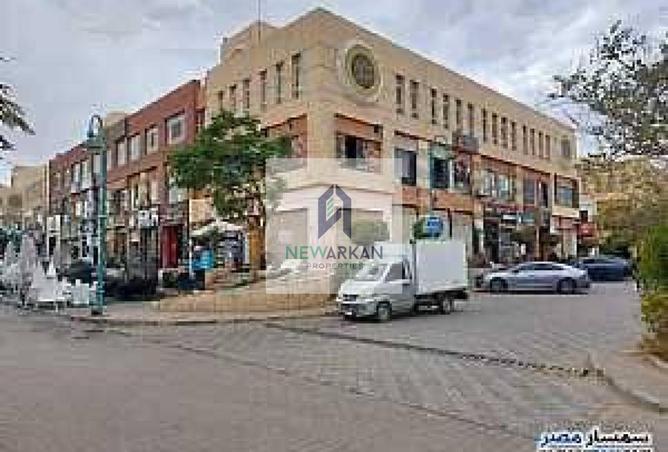 8260353 - Property Image 3