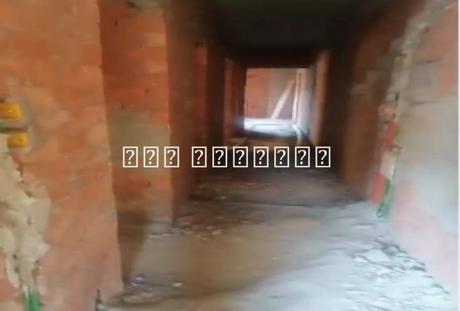 7888848 - صورة العقار 3