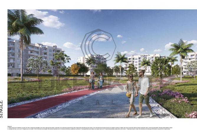 8029788 - Property Image 3