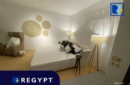 Apartment - Studio - 1 Bathroom for rent in Orabi St. - Maadi - Hay El Maadi - Cairo